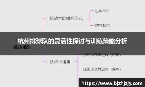 杭州排球队的灵活性探讨与训练策略分析